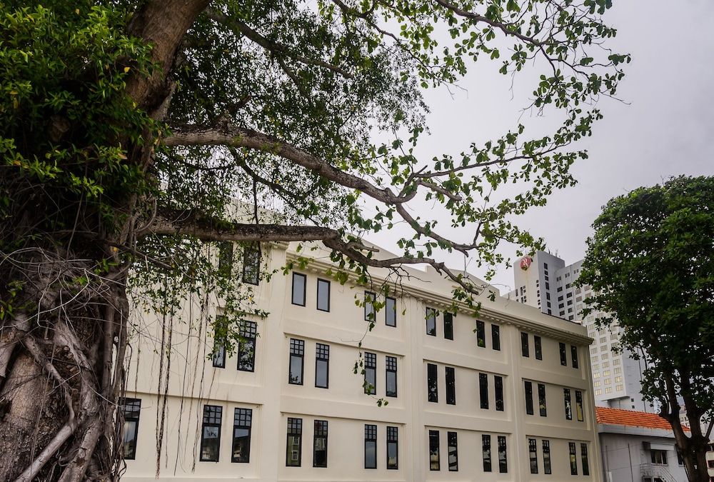 undefined Treasures Hotel and Suites 8