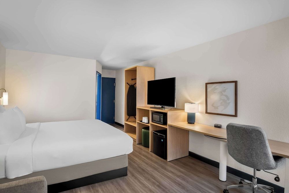 Room, 1 King Bed with Sofa bed, Accessible (Mobility & Roll-in Shower)
