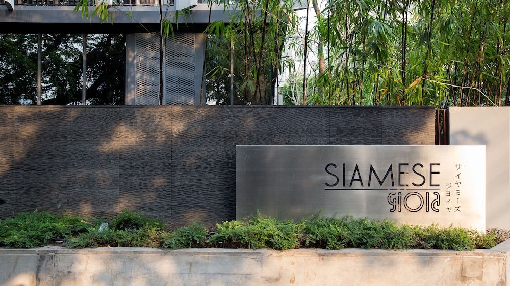 undefined Siamese Gioia Residence 2