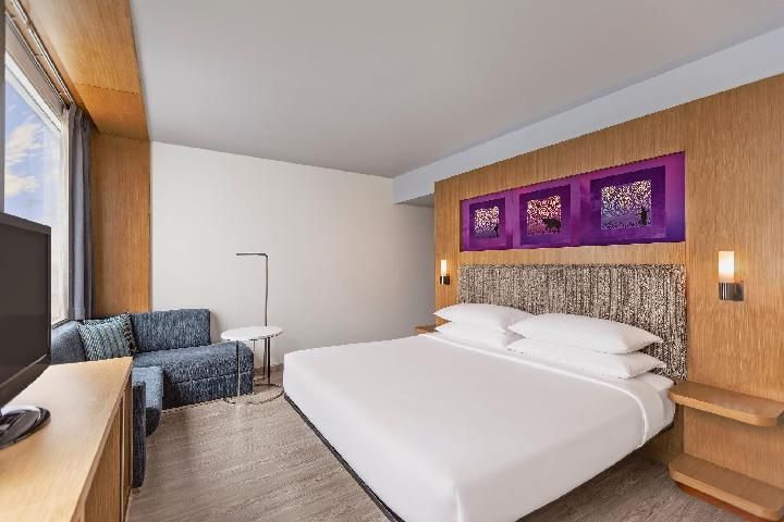 Chic Room, Guest room, 1 King