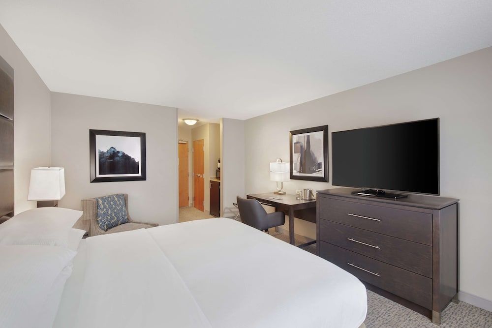 Room, 1 King Bed
