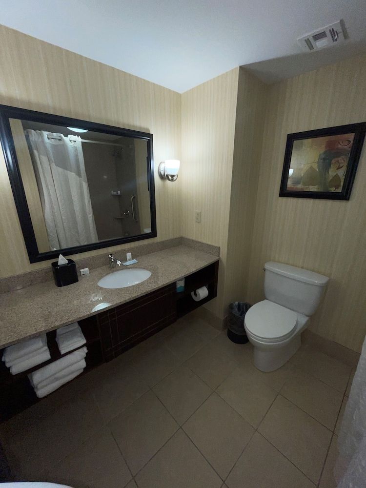 Room, 1 King Bed with Sofa bed (Speciality)