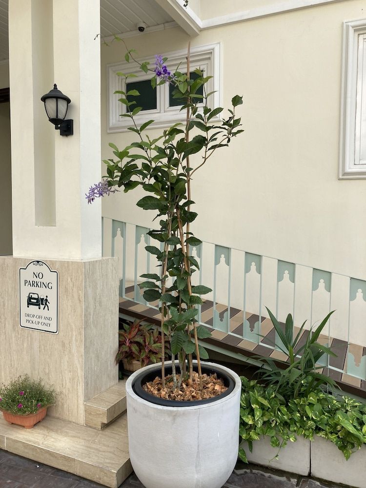 undefined Siam Tharadol 8