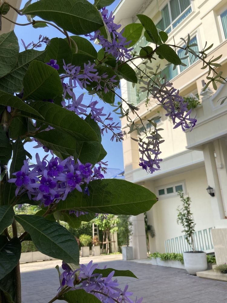 undefined Siam Tharadol 9