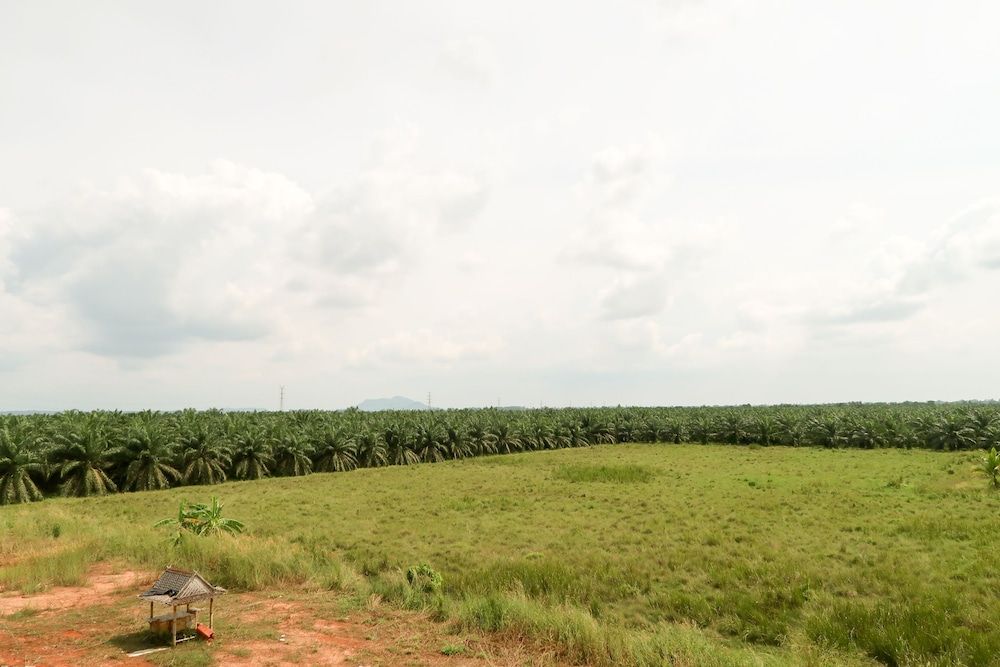 Baan URT Suratthani Airport Hotel Double Room, Balcony 6