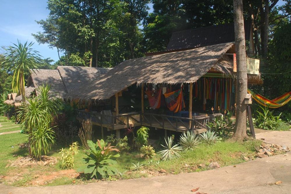 undefined Jungle Garden