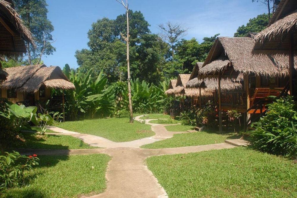 undefined Jungle Garden 9