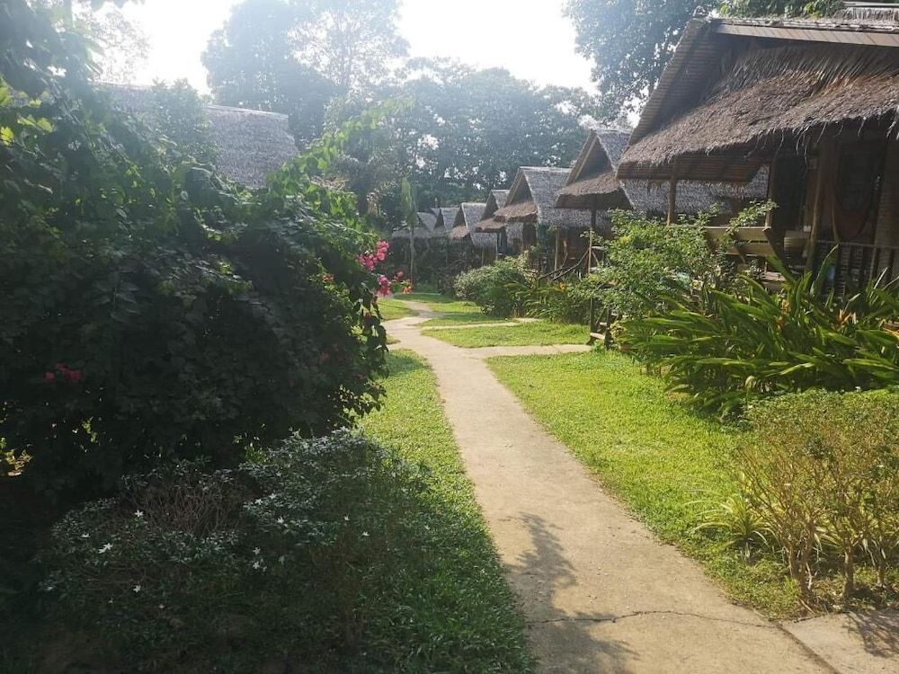 undefined Jungle Garden 8