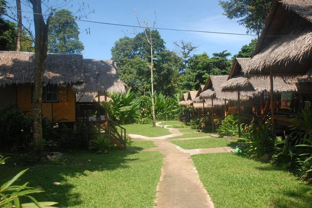 undefined Jungle Garden 10