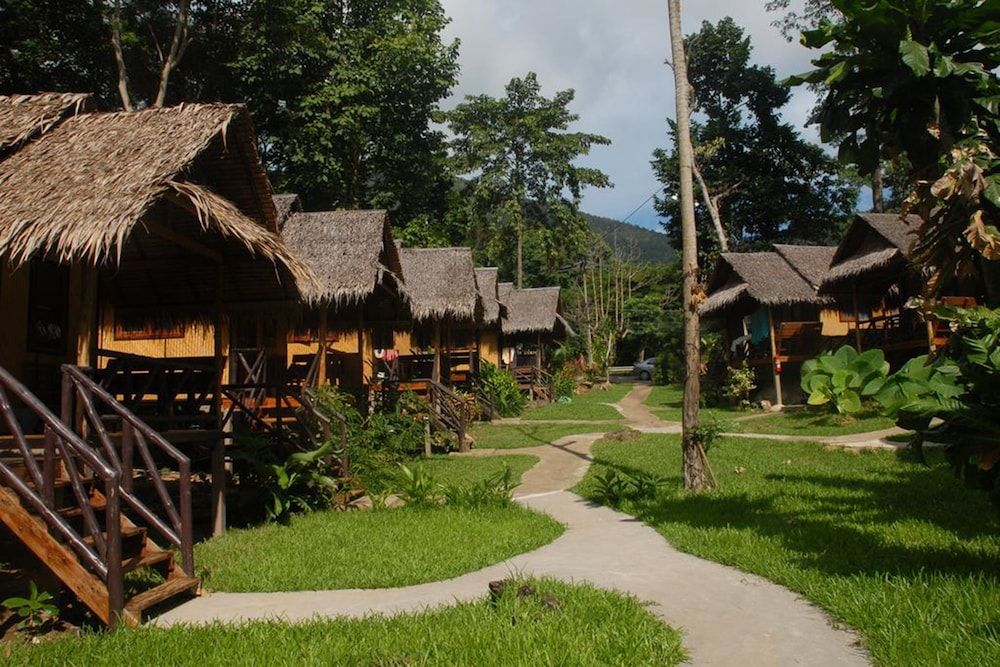 undefined Jungle Garden 6