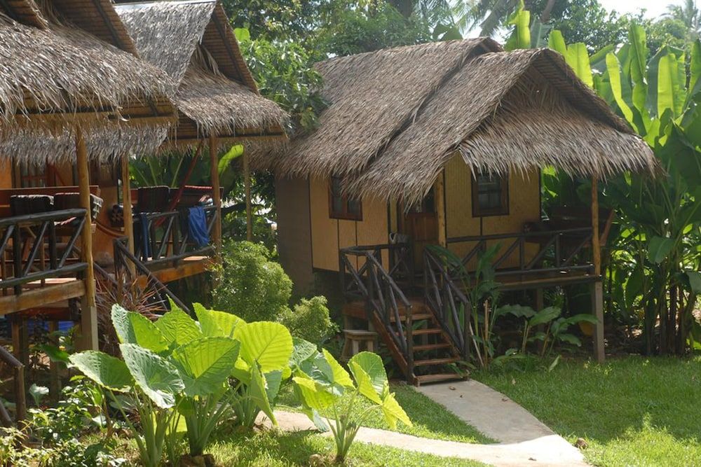undefined Jungle Garden 3