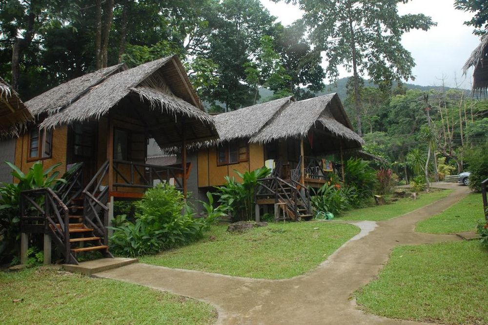 undefined Jungle Garden 4