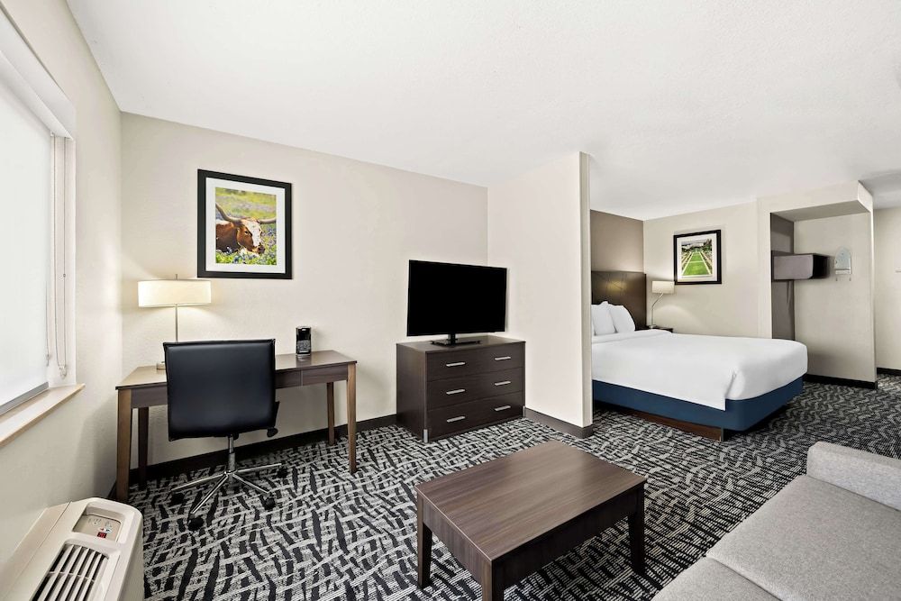 Suite, 1 King Bed, Accessible, Refrigerator & Microwave (with Sofabed)
