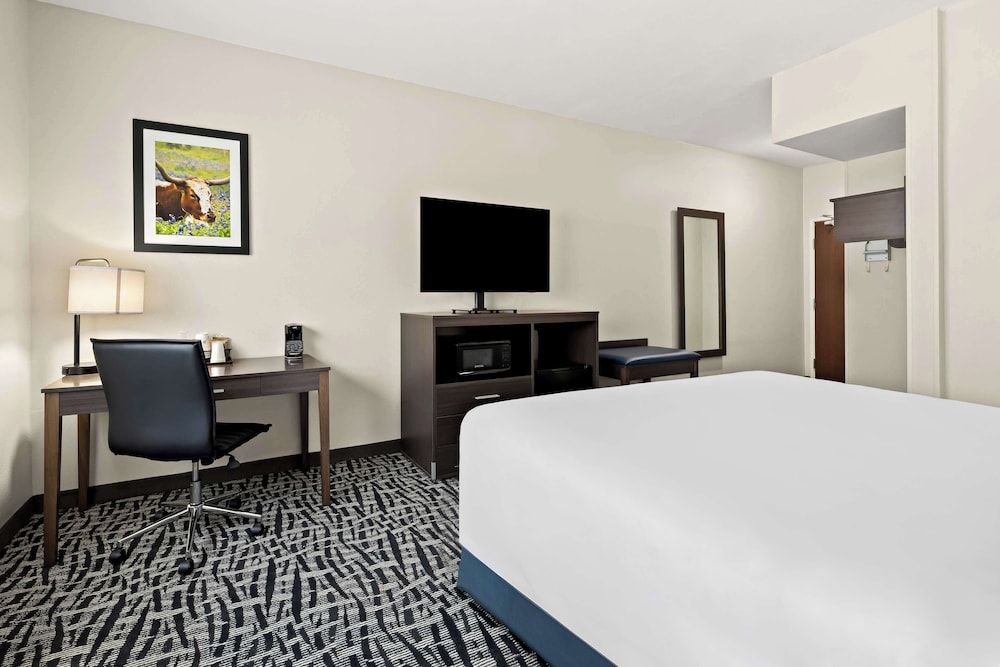 Standard Room, 1 King Bed, Accessible, Refrigerator & Microwave