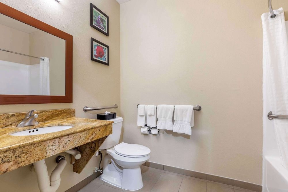 Comfort Inn & Suites Temple - Medical Center Room, 1 King Bed, Accessible, Non Smoking (Accessible Tub) 3