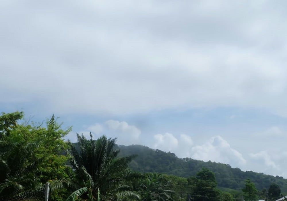 Majestic Villas Phuket Guesthouse (Room Number 3) 9