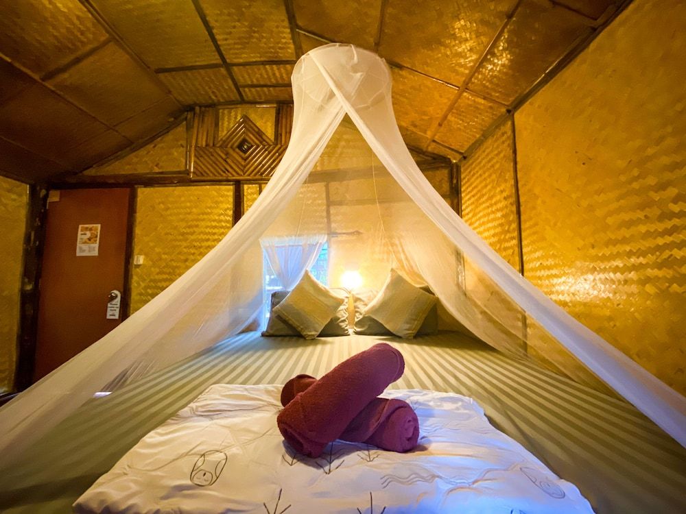 Rapala Rock Wood Resort Standard Double Bungalow with Air Condition 3