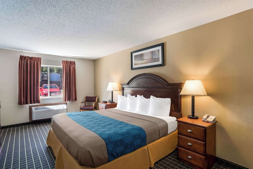 Room, 1 King Bed, Non Smoking