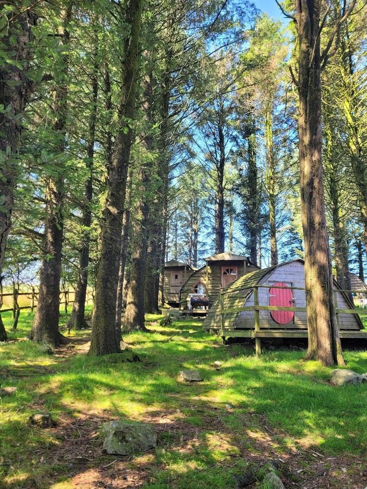 Wheal Tor Chalet, Shared Bathroom (Glamping pods) 4