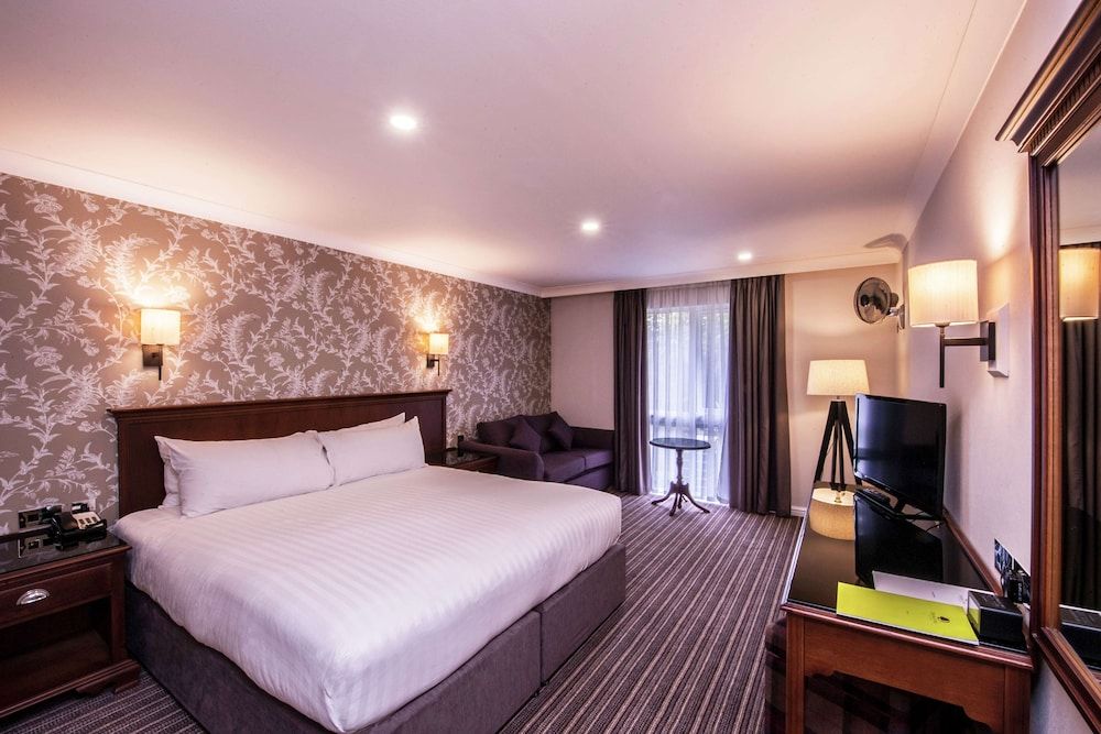 Family Room, 1 King Bed
