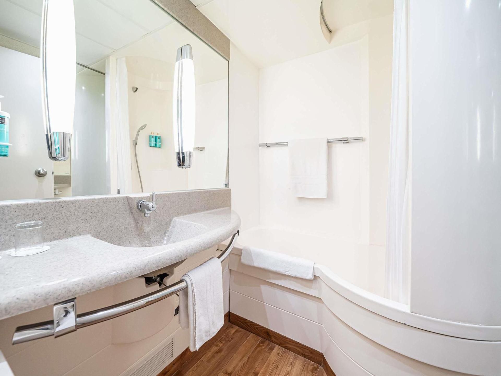 Standard Room with 1 double bed and convertible  sofa