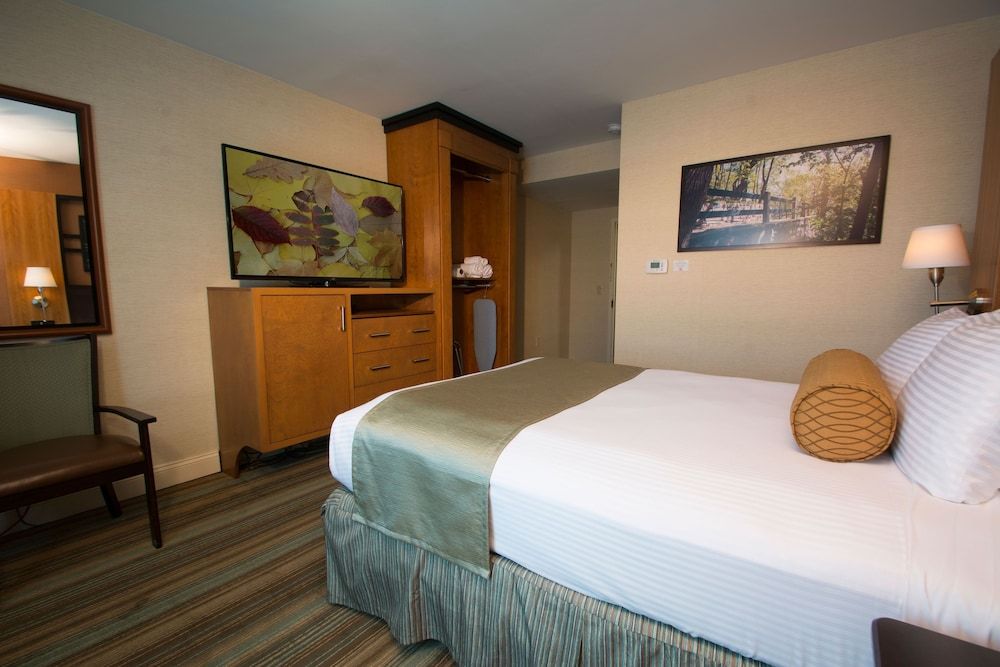 Best Western Queens Gold Coast Standard Room, 1 Queen Bed, Accessible, Refrigerator & Microwave 2