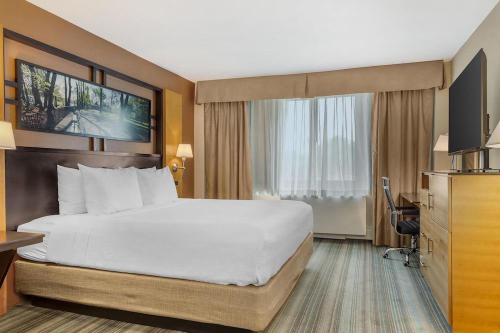 Standard Room, 1 King Bed, Non Smoking, Refrigerator & Microwave