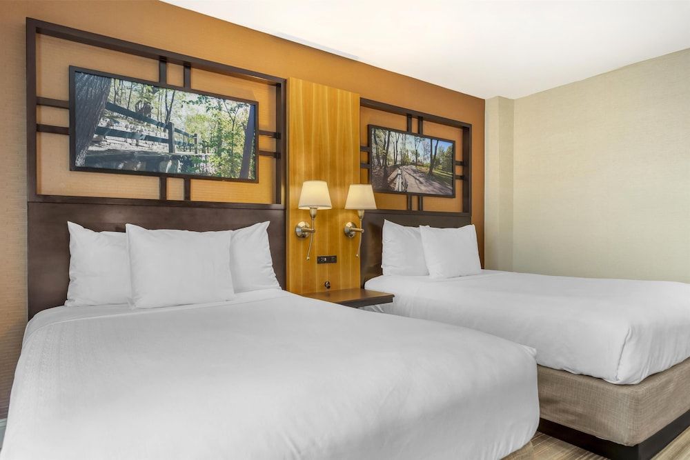 Best Western Queens Gold Coast Standard Room, 2 Double Beds, Non Smoking, Refrigerator & Microwave