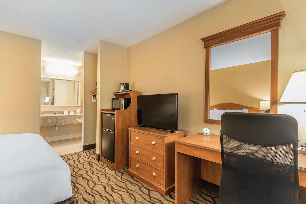 Room, 1 King Bed, Smoking