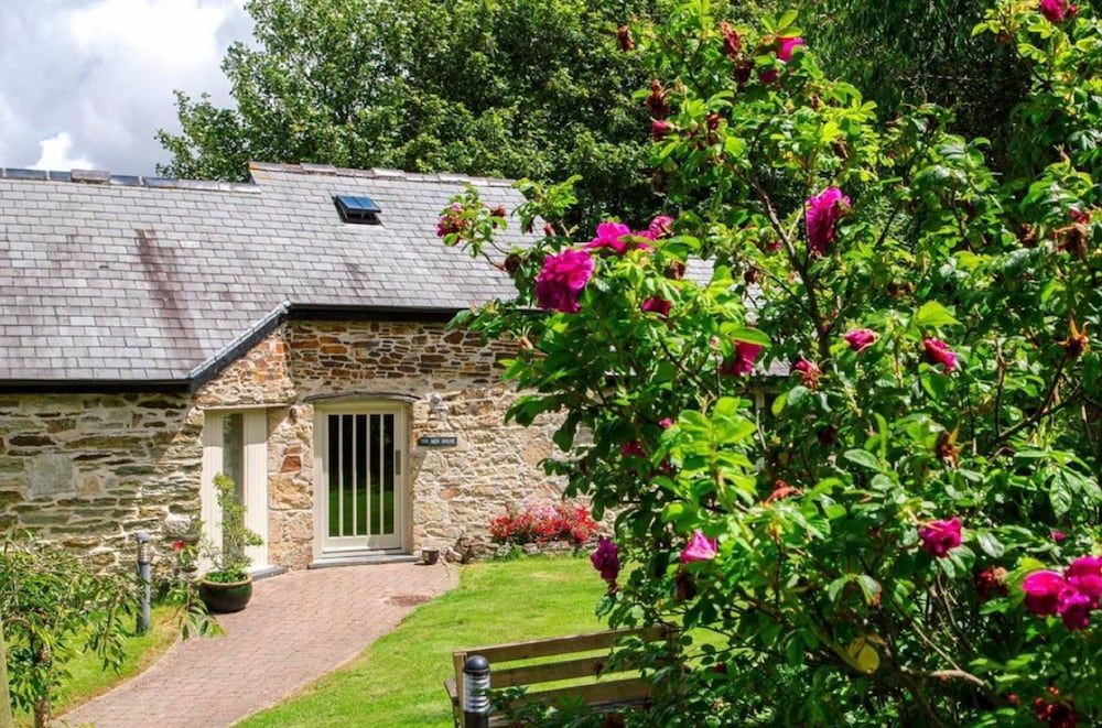 undefined The Plume of Feathers 4