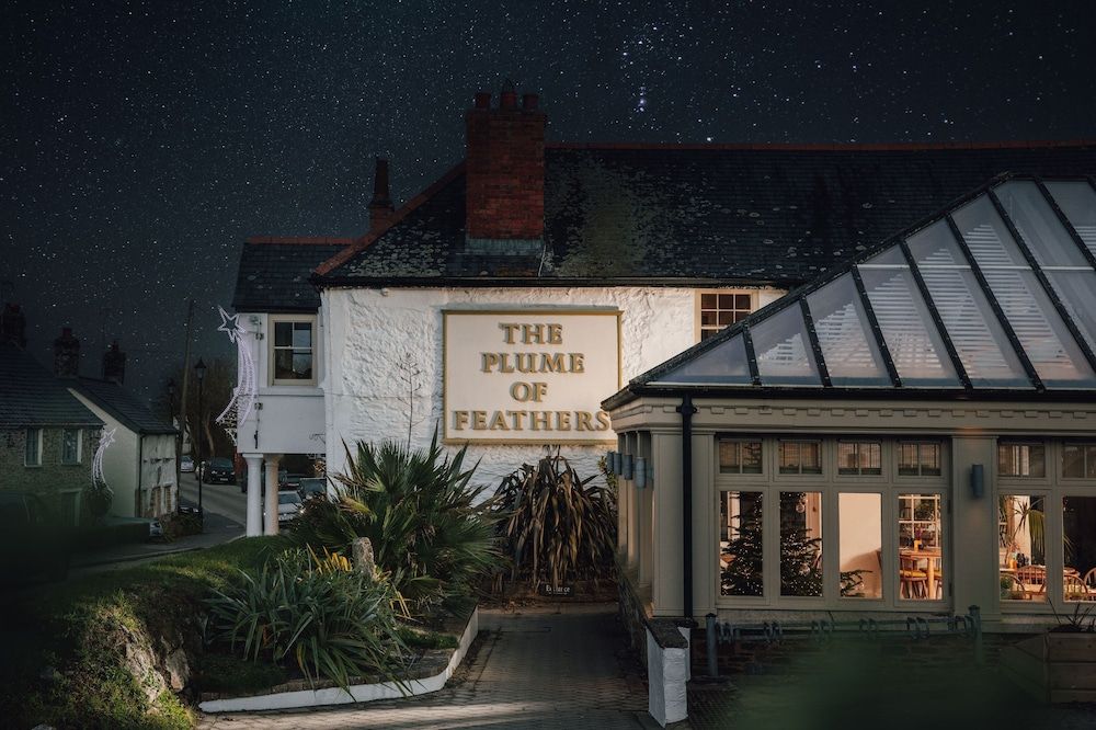 undefined The Plume of Feathers 5