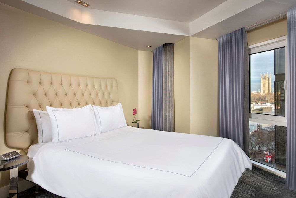 undefined Park Plaza London Riverbank 5