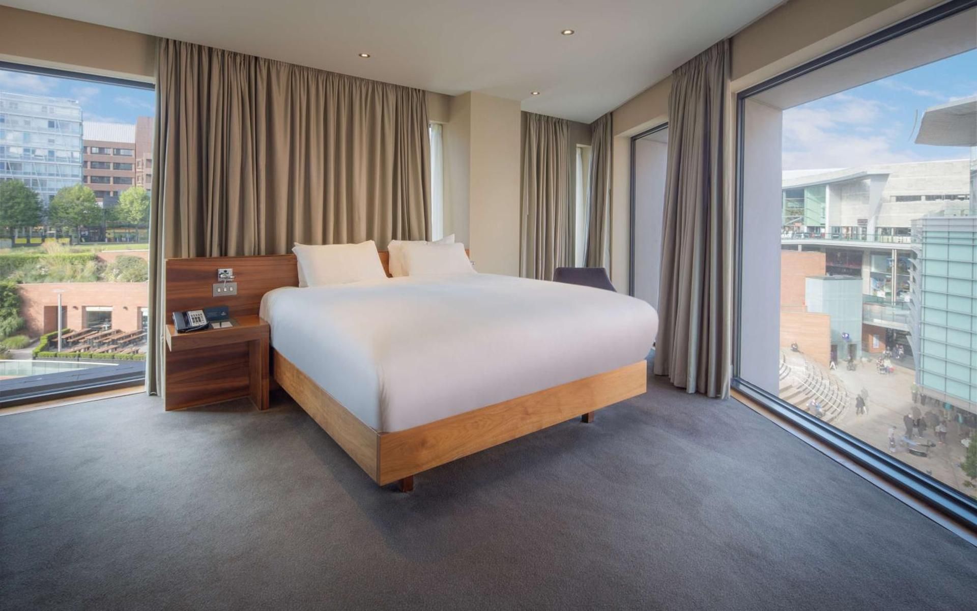 King Executive Suite With Park View