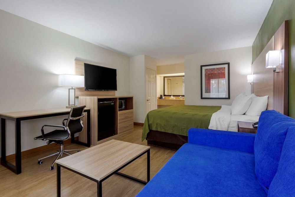 Room, 1 King Bed, Accessible, Non Smoking
