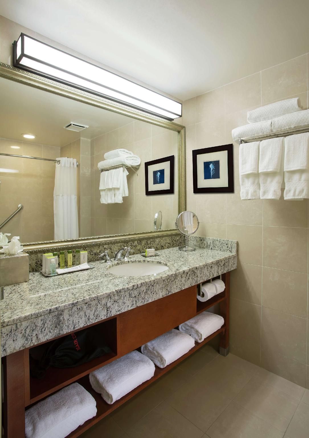 1 KING BED JUNIOR SUITE WITH 2-PERSON SOFABED