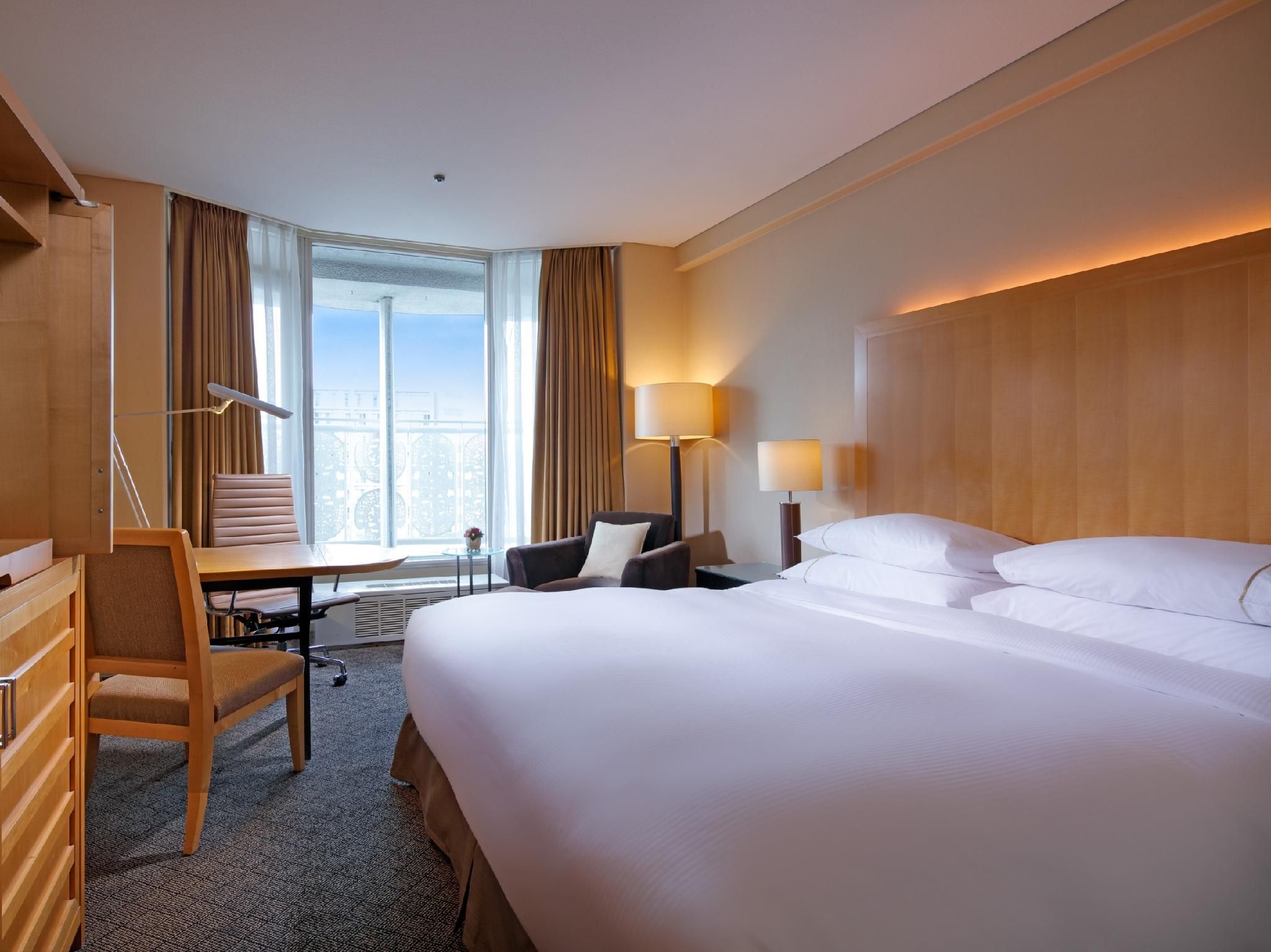 Premium King, Guest room, 1 King