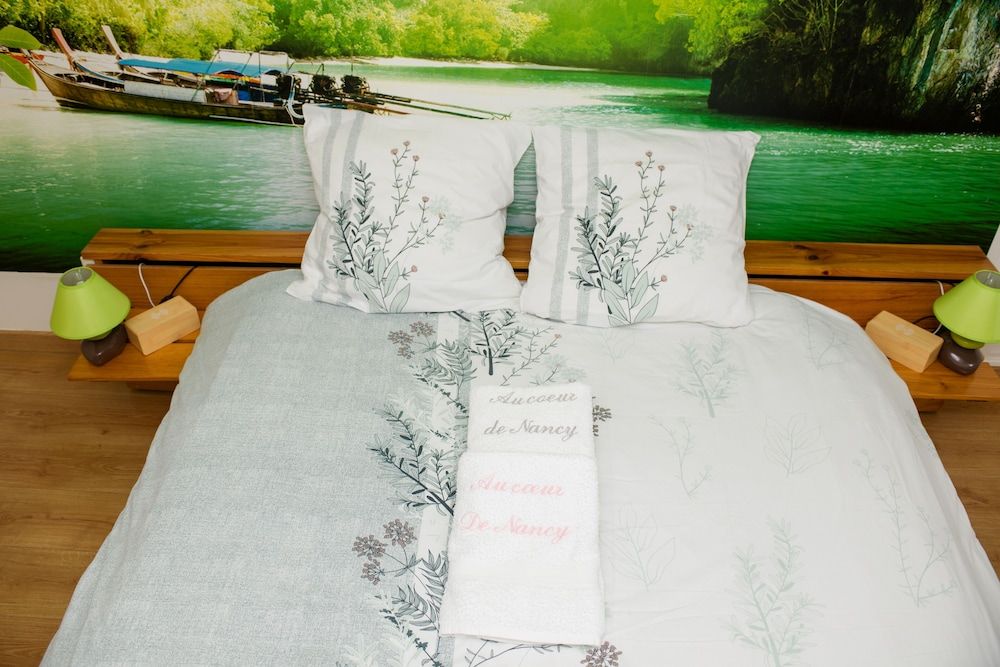 Chambres d'hôtes Au Coeur De Nancy proche gare de Nancy Standard Double Room, Shared Bathroom (Zen) 2