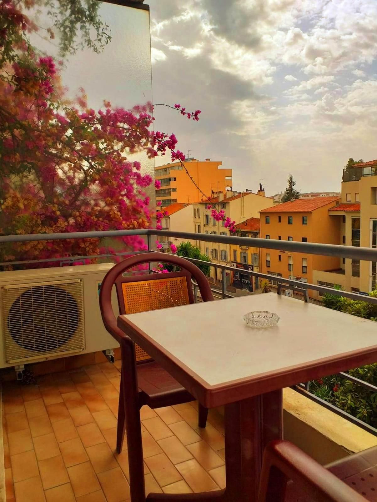 undefined Bellevue 10