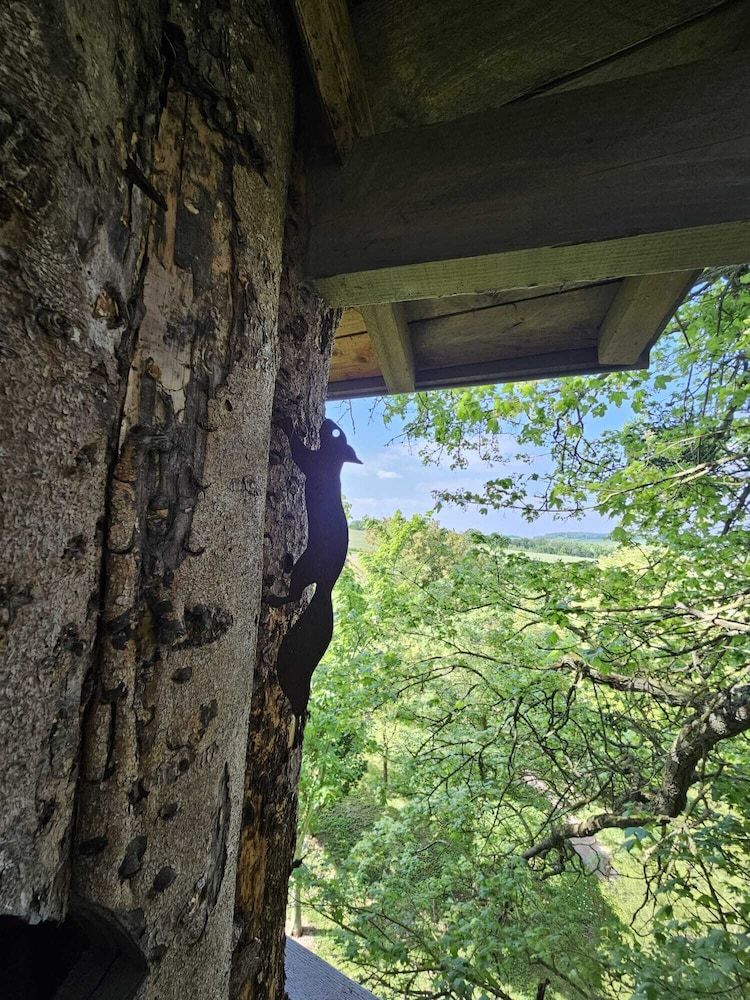 Tree House