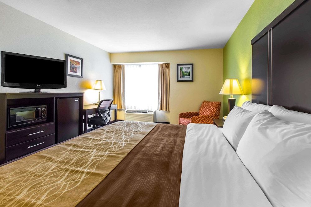 Room, 1 King Bed, Accessible, Smoking