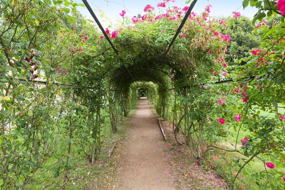 City View from Property