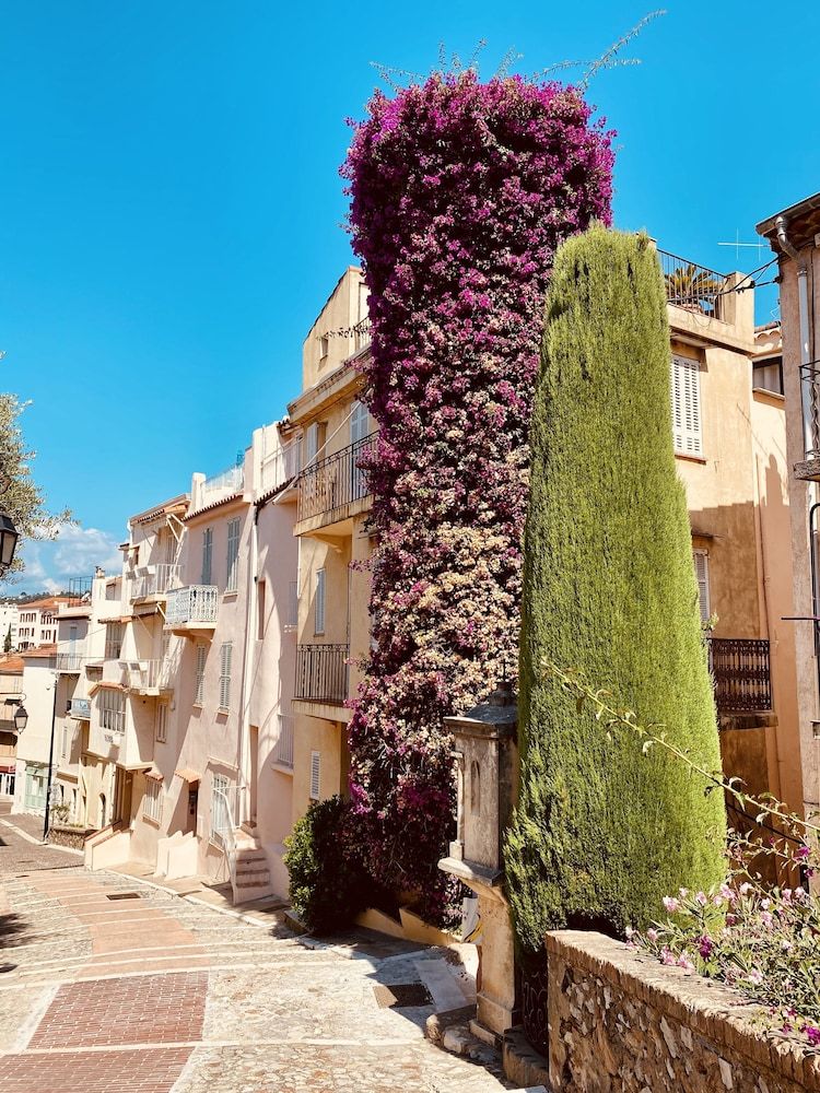 undefined Luxotel Cannes 6