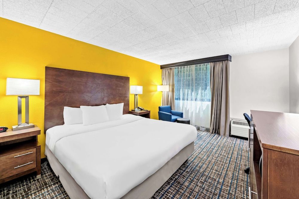 Standard Room, 1 King Bed, Mobility Accessible, Non Smoking
