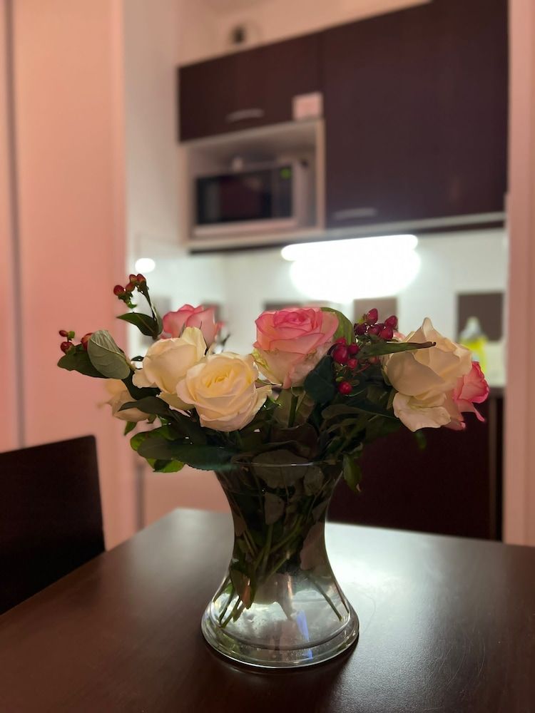 Appartéa Grenoble Alpexpo Standard Studio, 1 Double Bed 4