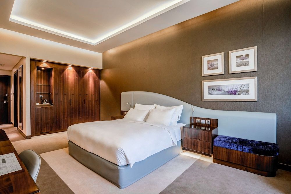 Radisson Blu Hotel Dubai Waterfront Standard Room 7