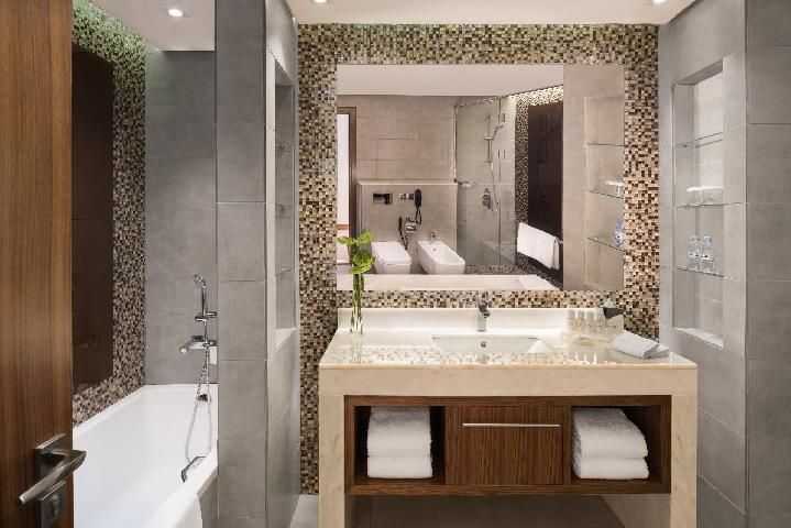 Radisson Blu Hotel Dubai Waterfront Standard Room 16