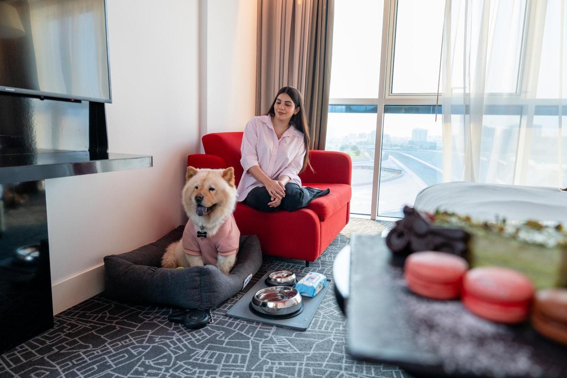 Standard Room - Pet Friendly