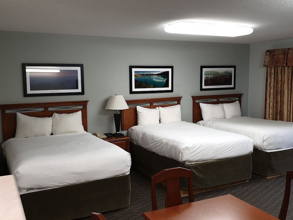 Suite, 3 Queen beds