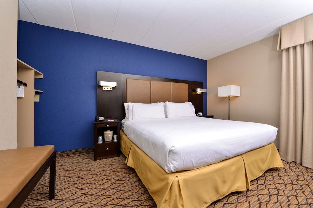 Standard Room, 1 King Bed, Accessible (Mobil Roll Shwr)