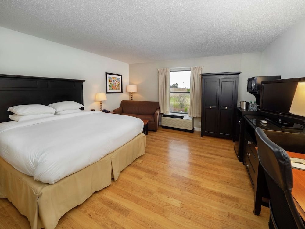 Standard Room, 1 King Bed with Sofa bed